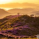 (주) 소망소프트 이미지