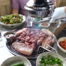 제주돈돼지 이미지