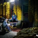 일출여인숙 이미지