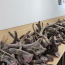 안심부부한의원 이미지