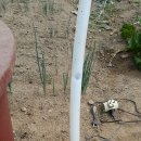 선바위농장 이미지