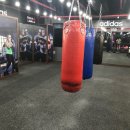 메이저 복싱짐 이미지