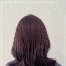 하이헤어 네이버블로그