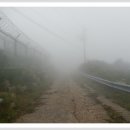 팔공산 하늘정원 이미지