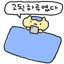 잔잔동탄