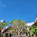 파인애플세탁소 | 혼자 발리 여행 누사페니다 숙소 후기 엔젤스 방갈로 Angels Bungalow &amp; 메르타사리 방갈로 Mertasari...