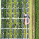 반도 태양광발전소 이미지