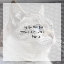 라이프필라테스