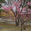 수양-0002 이미지