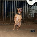 호동이농장 이미지