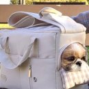 펫 & 쇼핑 이미지