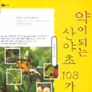 약이 되는 산야초 이미지