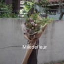 밀드플레 이미지