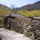 밤재 등산로 이미지