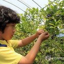 산수리농장 이미지