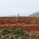 말 언어 대화 이미지