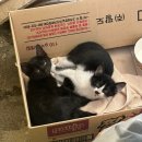 CU(진해루휴게소점) 이미지