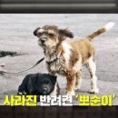지지고 이미지