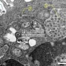 혜당생활과학 이미지