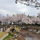 국원고등학교 이미지