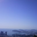 장산제 이미지