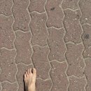 세븐일레븐 포항영일대별빛점 이미지