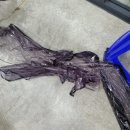 윈클럽어린이집 이미지