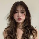 더모던화이불치