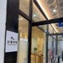 개냥이 | 전주 고양이 카페 묘해저택 솔직 후기 개냥이들과 힐링 시간