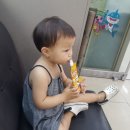 김명관약국