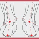 레푸스 상도점 이미지