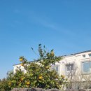 문화마을길 이미지