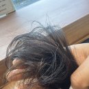 에이치아이온 | 구로항동미용실 추천 플랜에이치 구로항동점에서 만족스러운 전체염색 후기