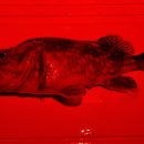 여명전자산업 이미지