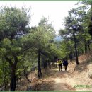 흥해 건재사 이미지