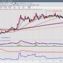 (주)위트레이딩 이미지