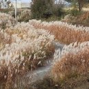 소뚝도랑 둘레길 이미지