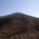 밀두리 Daum카페