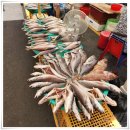 경화시장 이미지