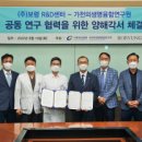 가천 이미지