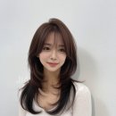 이층헤어