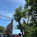 남방2통 | 인도네시아 발리 7박 9일 신혼 여행 :: 준비물 체크리스트, 여행 코스, 옷차림