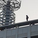 울산시청 이미지