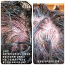 생생원리젠 - 남구 문수로435번길 24 | 생생원리젠