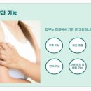 GH지압침대 신평점 이미지