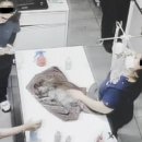 청원동물병원 이미지
