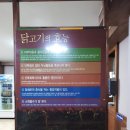상림로 이미지