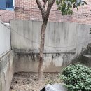 사파리쉼터