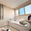 유펠리스 이미지