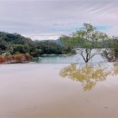 향산휴게소